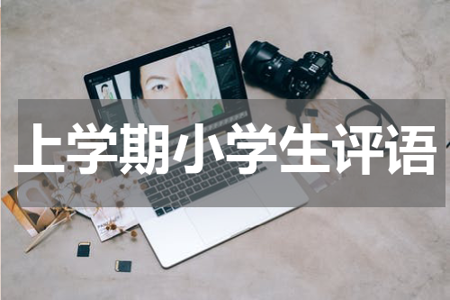 上学期小学生评语