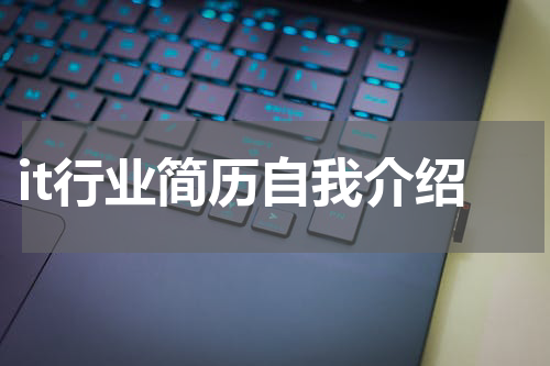 it行业简历自我介绍