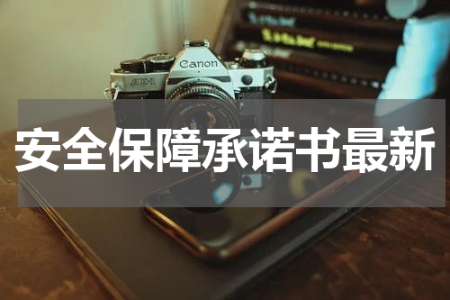 安全保障承诺书最新