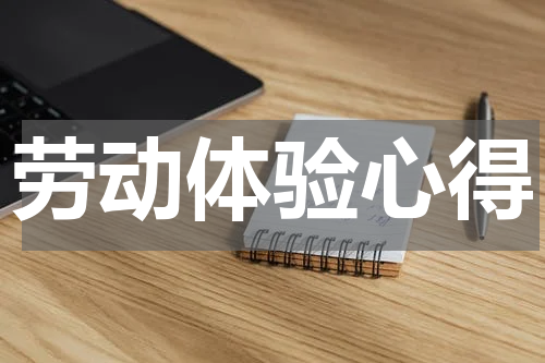 劳动体验心得