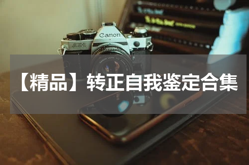 【精品】转正自我鉴定合集