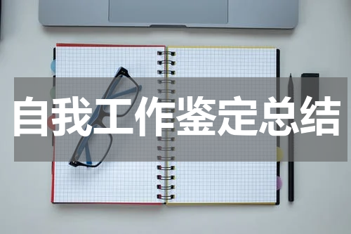 自我工作鉴定总结