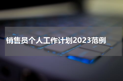 销售员个人工作计划2023范例