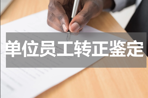 单位员工转正鉴定