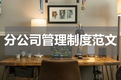 分公司管理制度范文