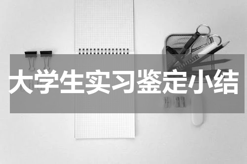 大学生实习鉴定小结