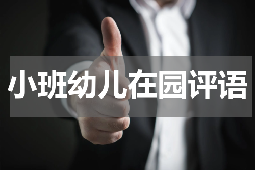 小班幼儿在园评语