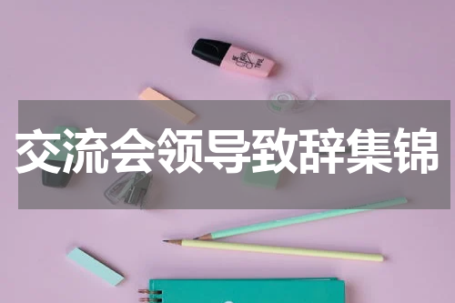 交流会领导致辞集锦