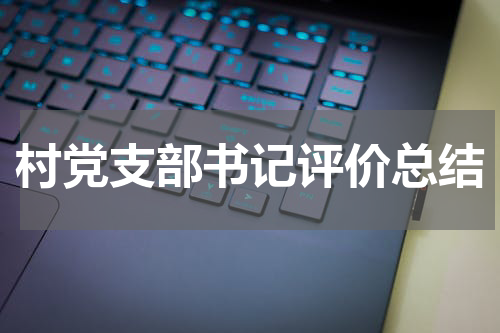 村党支部书记评价总结