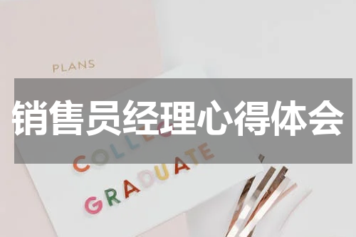 销售员经理心得体会
