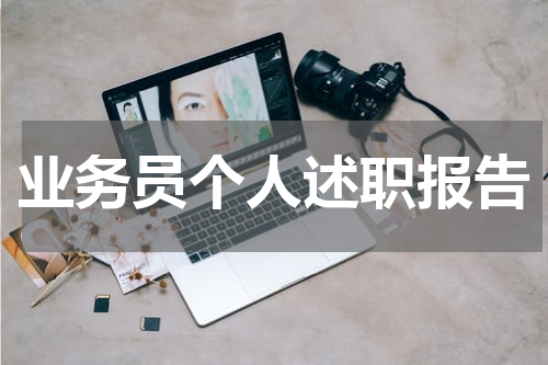 业务员个人述职报告