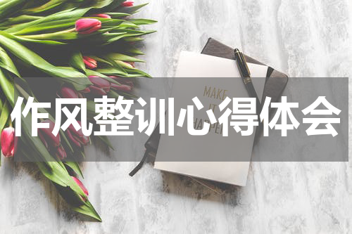 作风整训心得体会