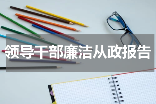 领导干部廉洁从政报告