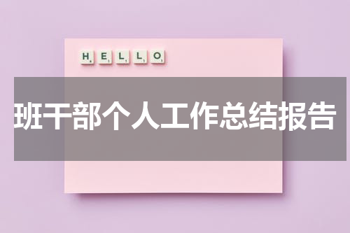 班干部个人工作总结报告