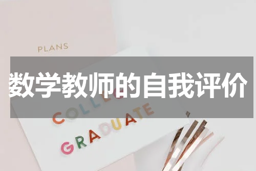 数学教师的自我评价