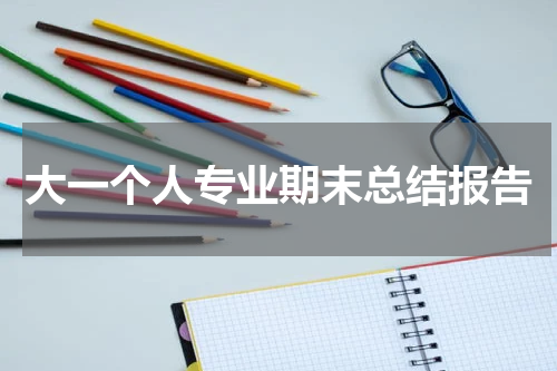 大一个人专业期末总结报告