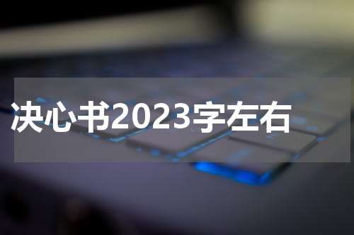 决心书2023字左右