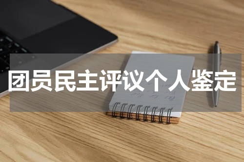 团员民主评议个人鉴定