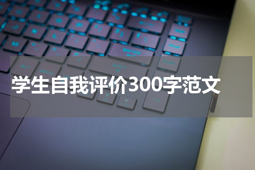 学生自我评价300字范文