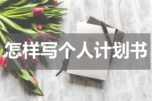 怎样写个人计划书