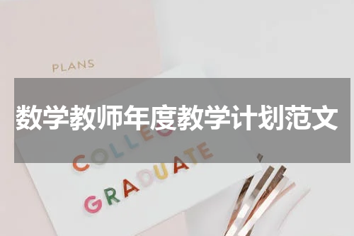 数学教师年度教学计划范文