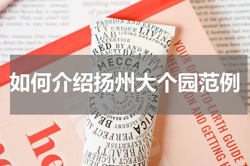 如何介绍扬州大个园范例
