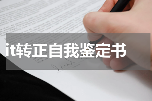 it转正自我鉴定书