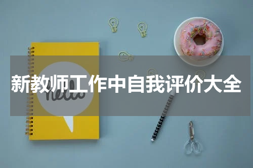 新教师工作中自我评价大全