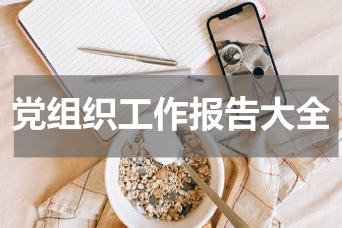 党组织工作报告大全