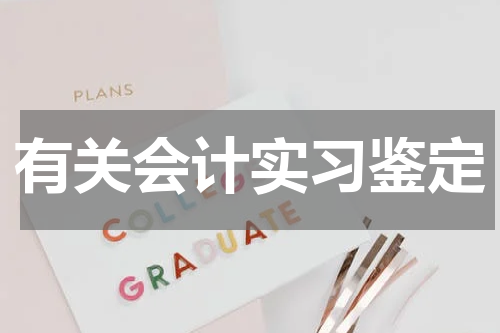 有关会计实习鉴定