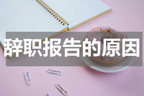 辞职报告的原因