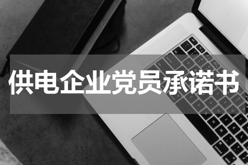 供电企业党员承诺书