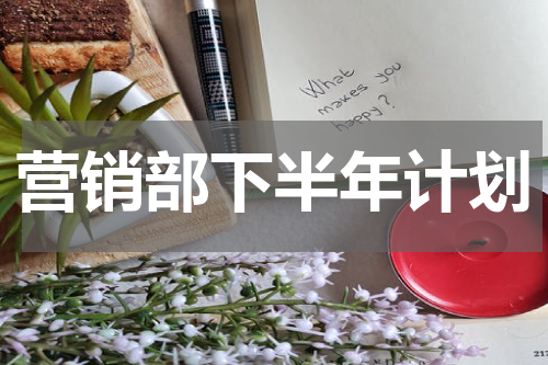 营销部下半年计划