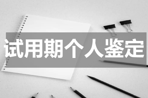 试用期个人鉴定