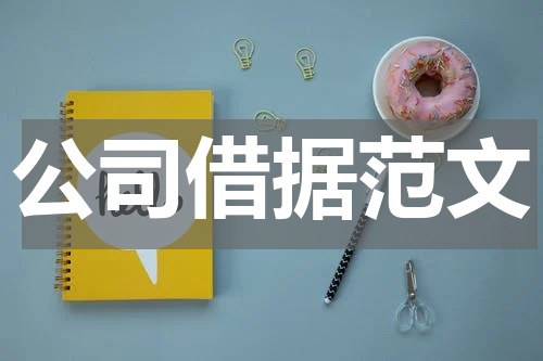 公司借据范文