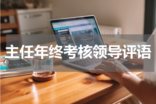 主任年终考核领导评语