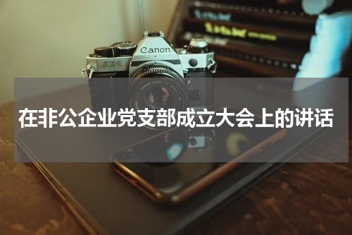 在非公企业党支部成立大会上的讲话