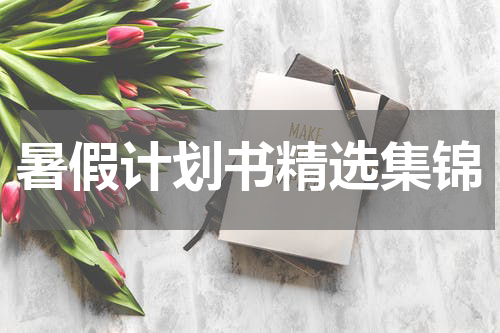 暑假计划书精选集锦