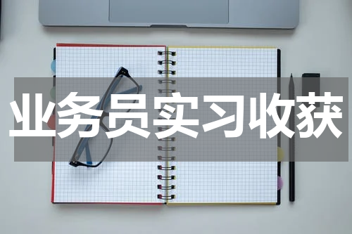 业务员实习收获