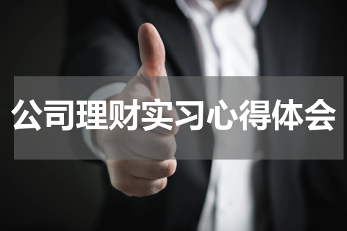 公司理财实习心得体会