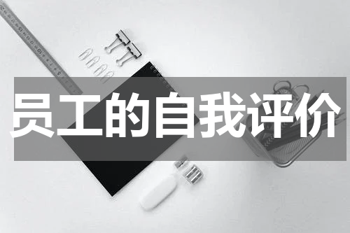 员工的自我评价