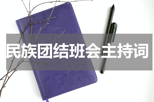 民族团结班会主持词
