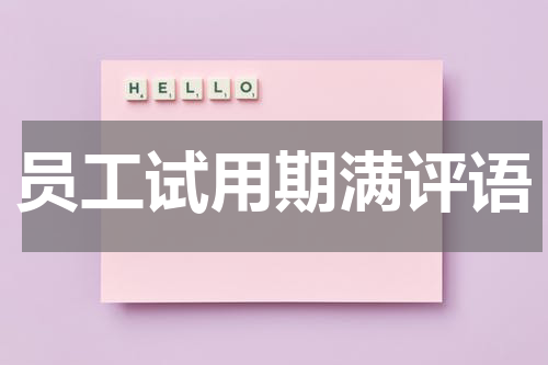 员工试用期满评语
