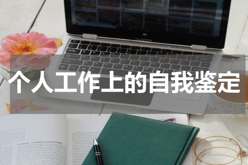 个人工作上的自我鉴定