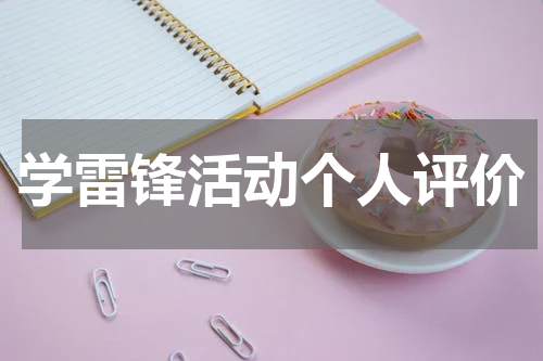 学雷锋活动个人评价