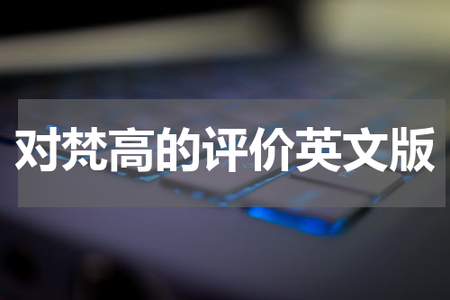 对梵高的评价英文版