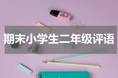 期末小学生二年级评语