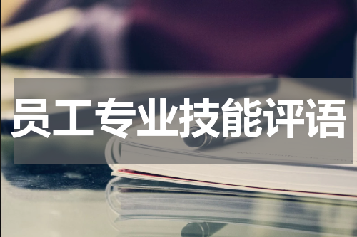 员工专业技能评语