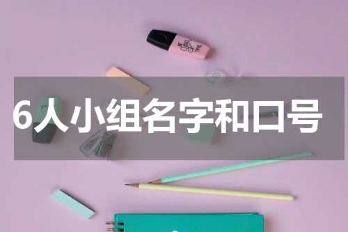 6人小组名字和口号
