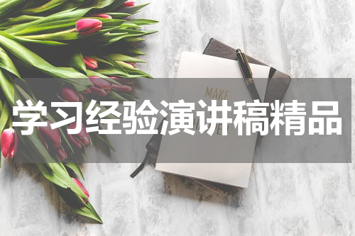 学习经验演讲稿精品